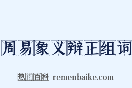 周易象义辩正组词是什么意思的图片